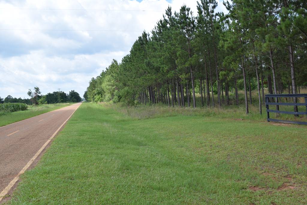 Timberland hunting with 2 homes in high end farm country! Southern Rivers Properties