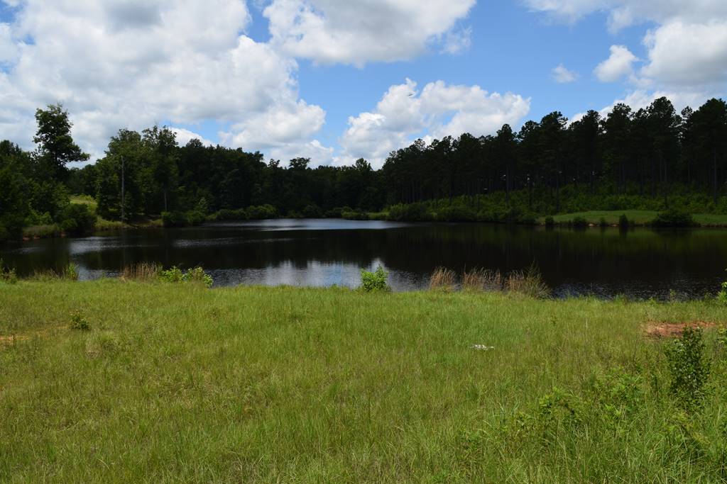 Plantation caliber sportsman's paradise. Southern Rivers Properties