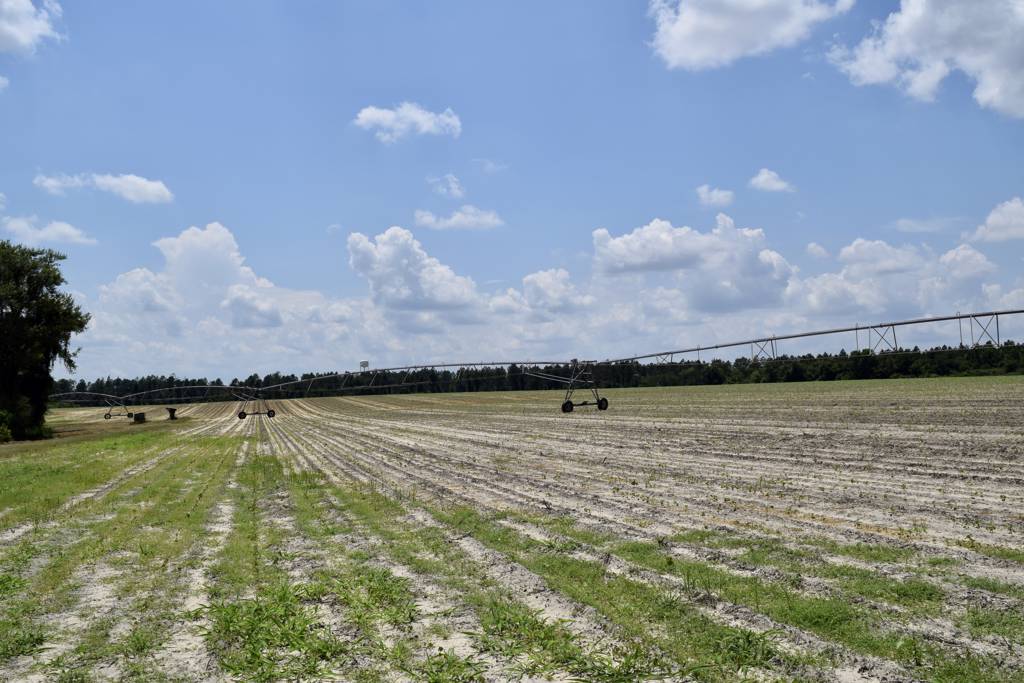 151+ acres Crisp County Irrigated Farm Land Southern Rivers Properties