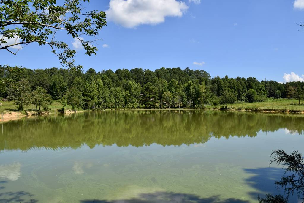 Land and house near Jackson Lake Southern Rivers Properties