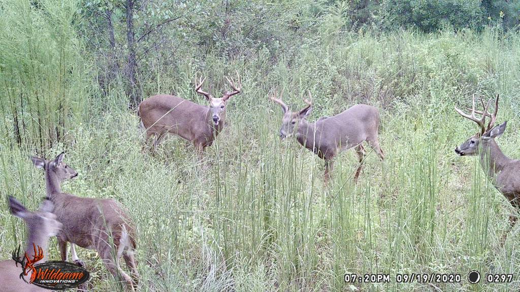 182+ acres Excellent farmland, large shop/equipment bldg., long creek front great hunting