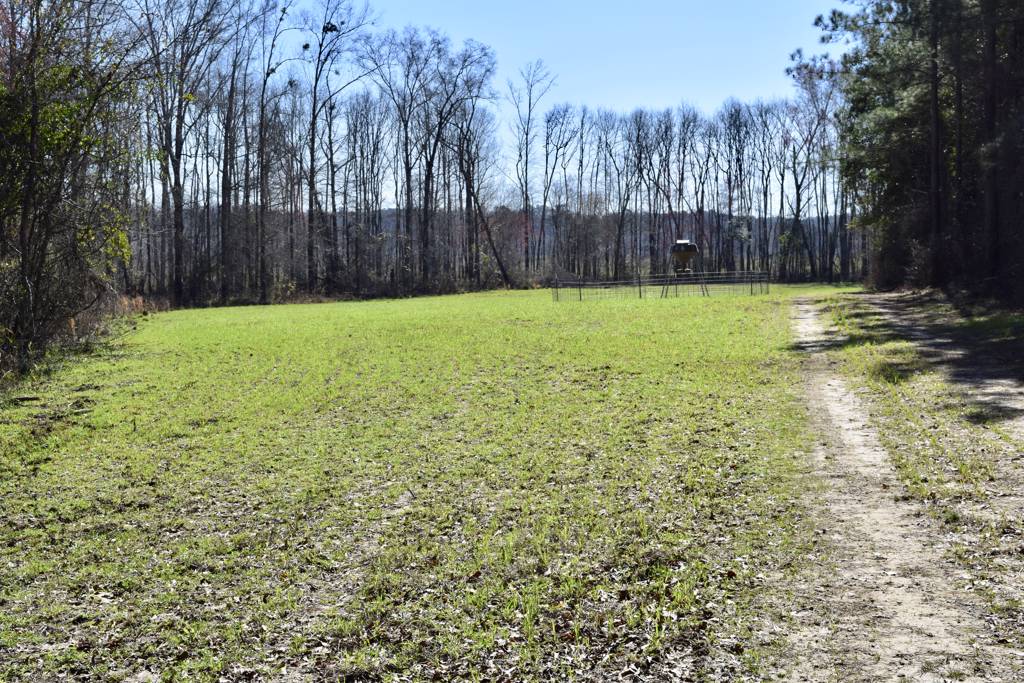 550+ Acre Flint River/ Whitewater creek Farm Southern Rivers Properties