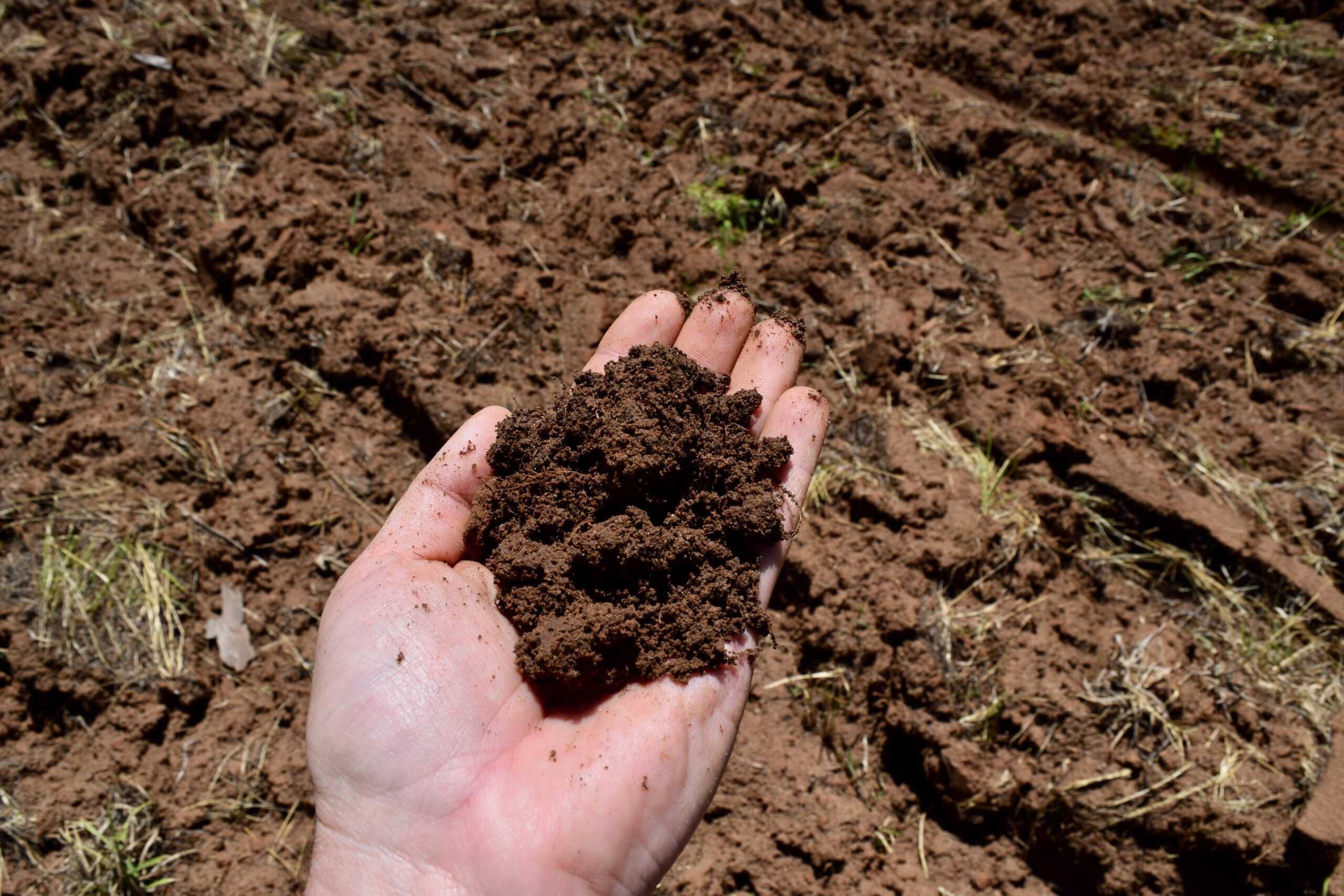 Keel Creek Plantation Southern Rivers Properties