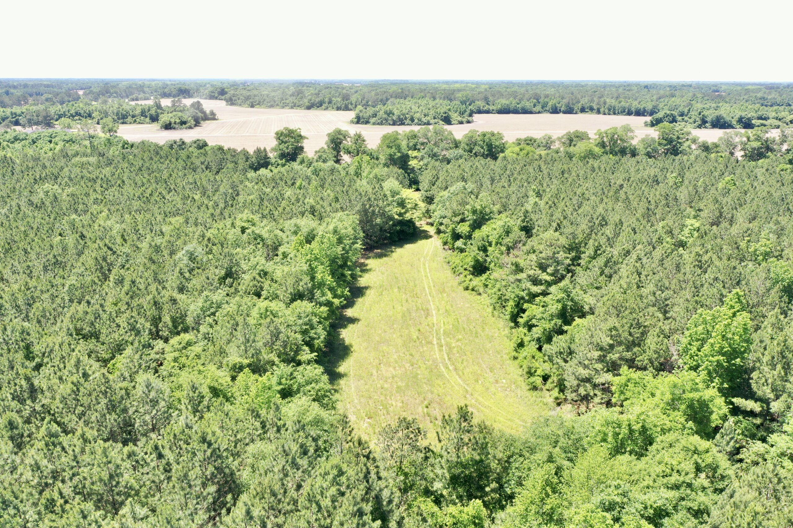 Crisp County Farm & Hunting Southern Rivers Properties