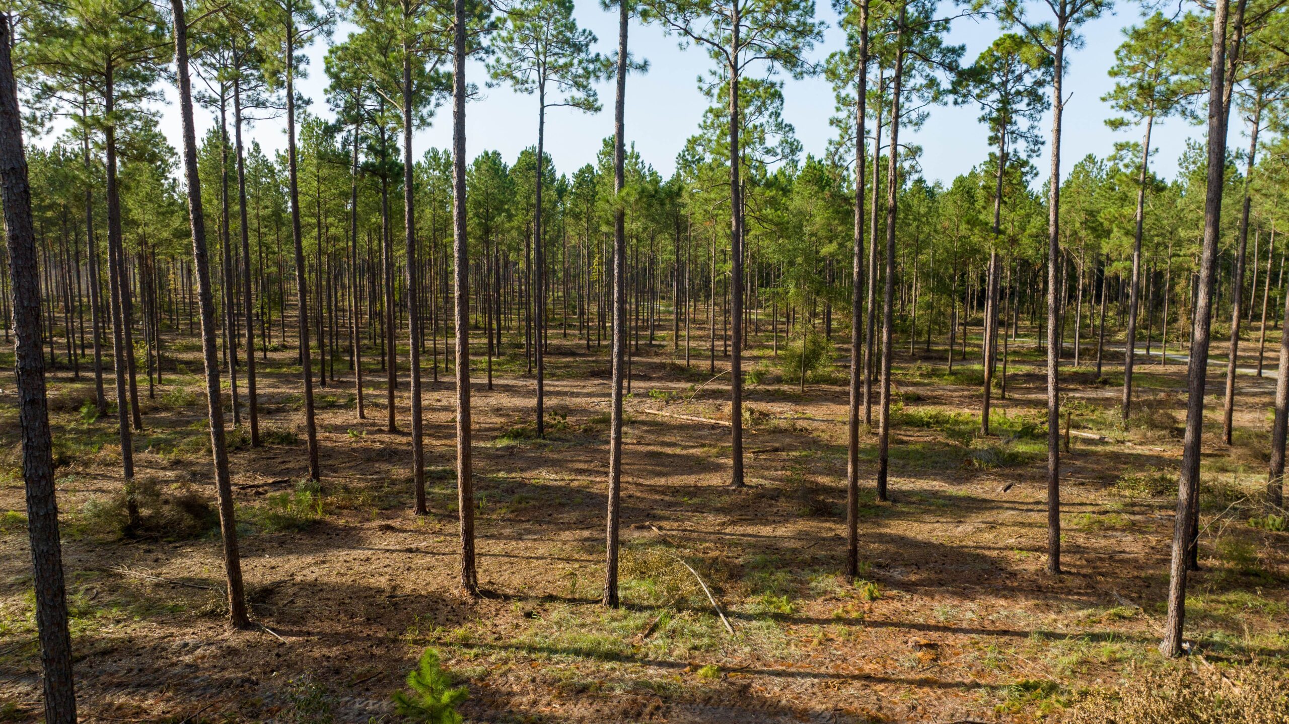 UGA Wheatley Property Southern Rivers Properties