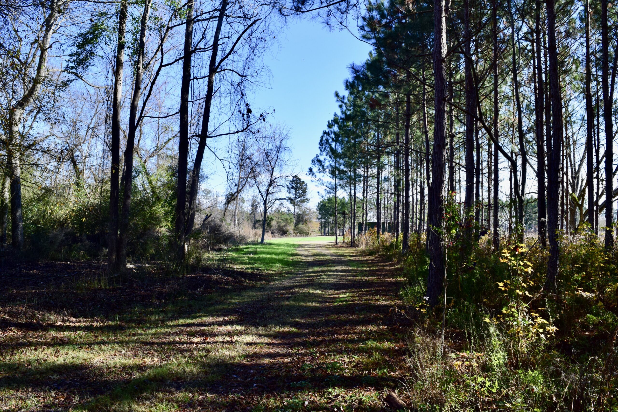 Sumter County Griffin Farm Southern Rivers Properties