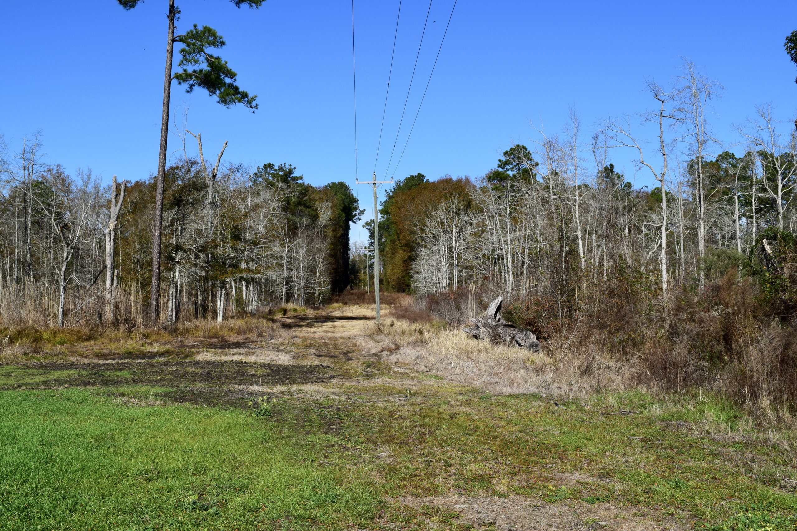 Sumter County Griffin Farm Southern Rivers Properties