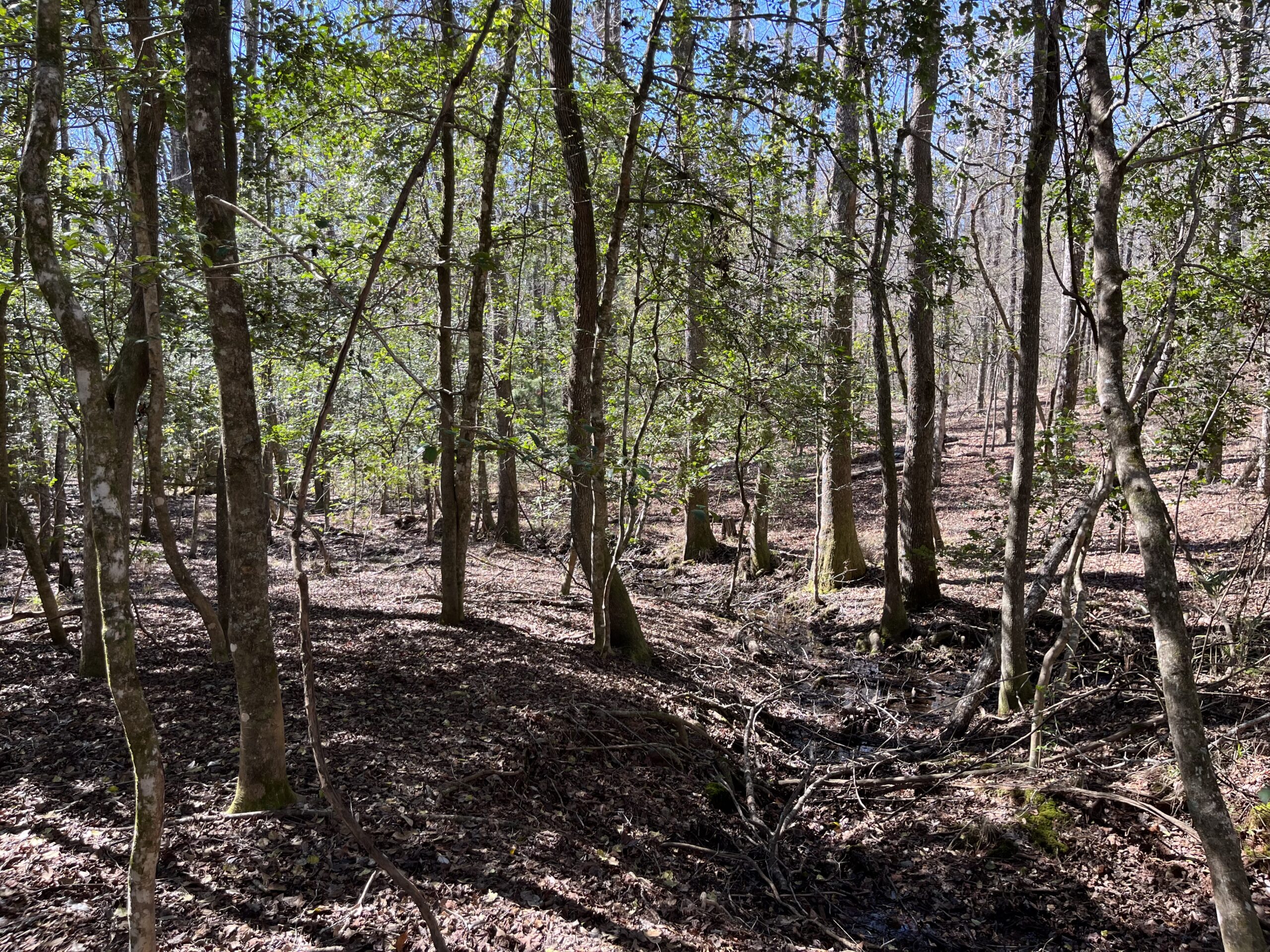 Clay Hills Farm Southern Rivers Properties