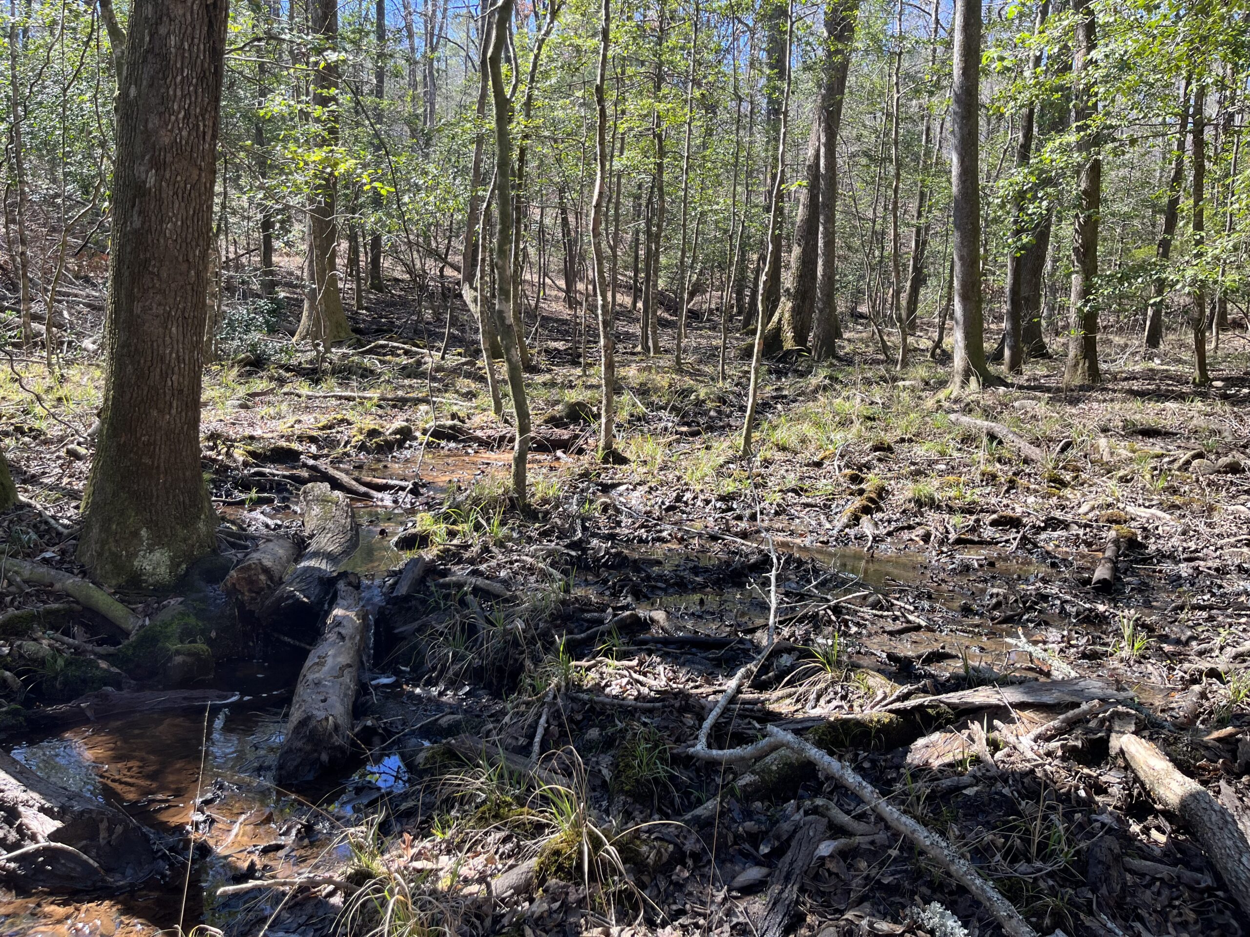 Clay Hills Farm Southern Rivers Properties