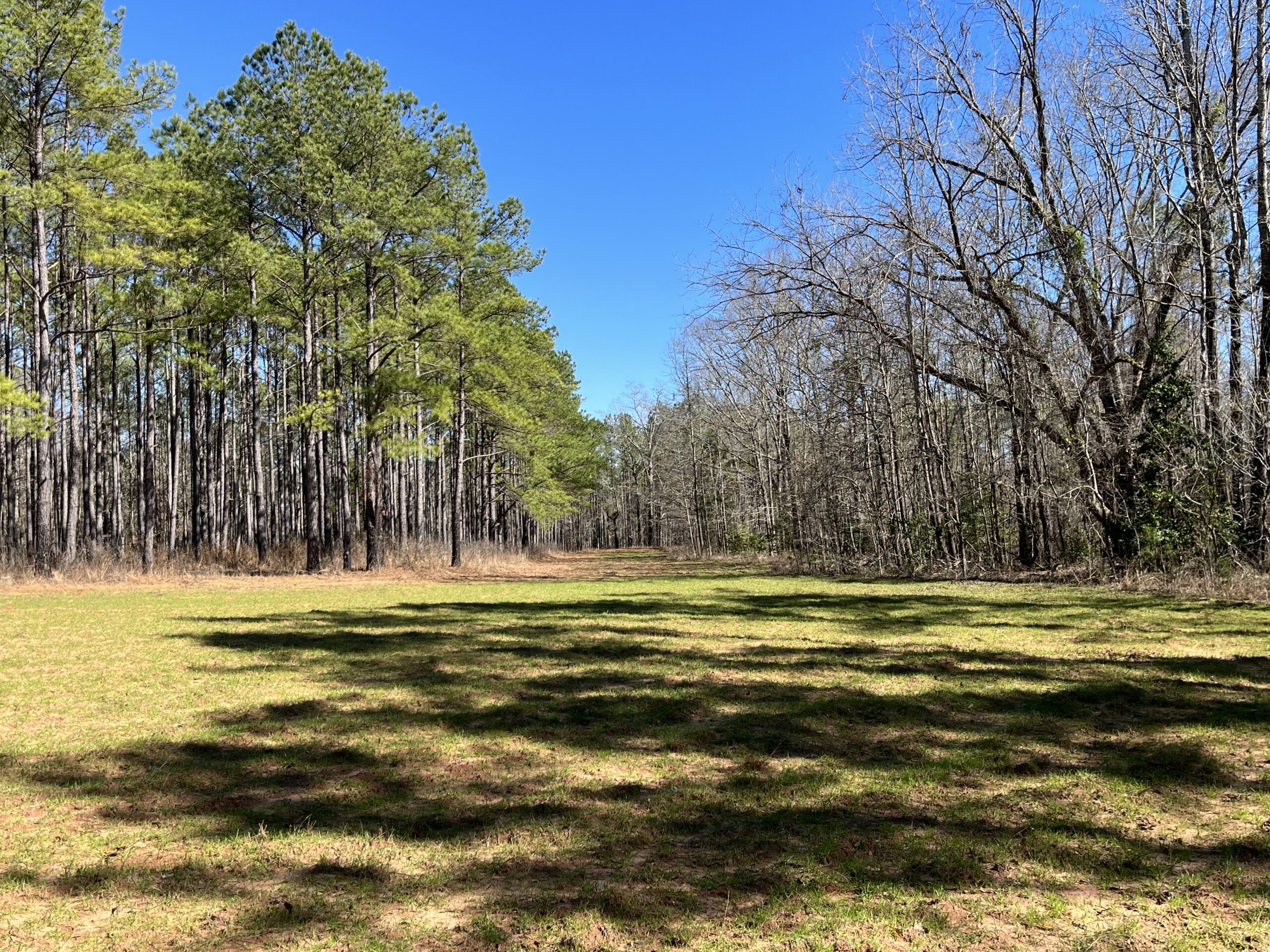 Clay Hills Farm Southern Rivers Properties