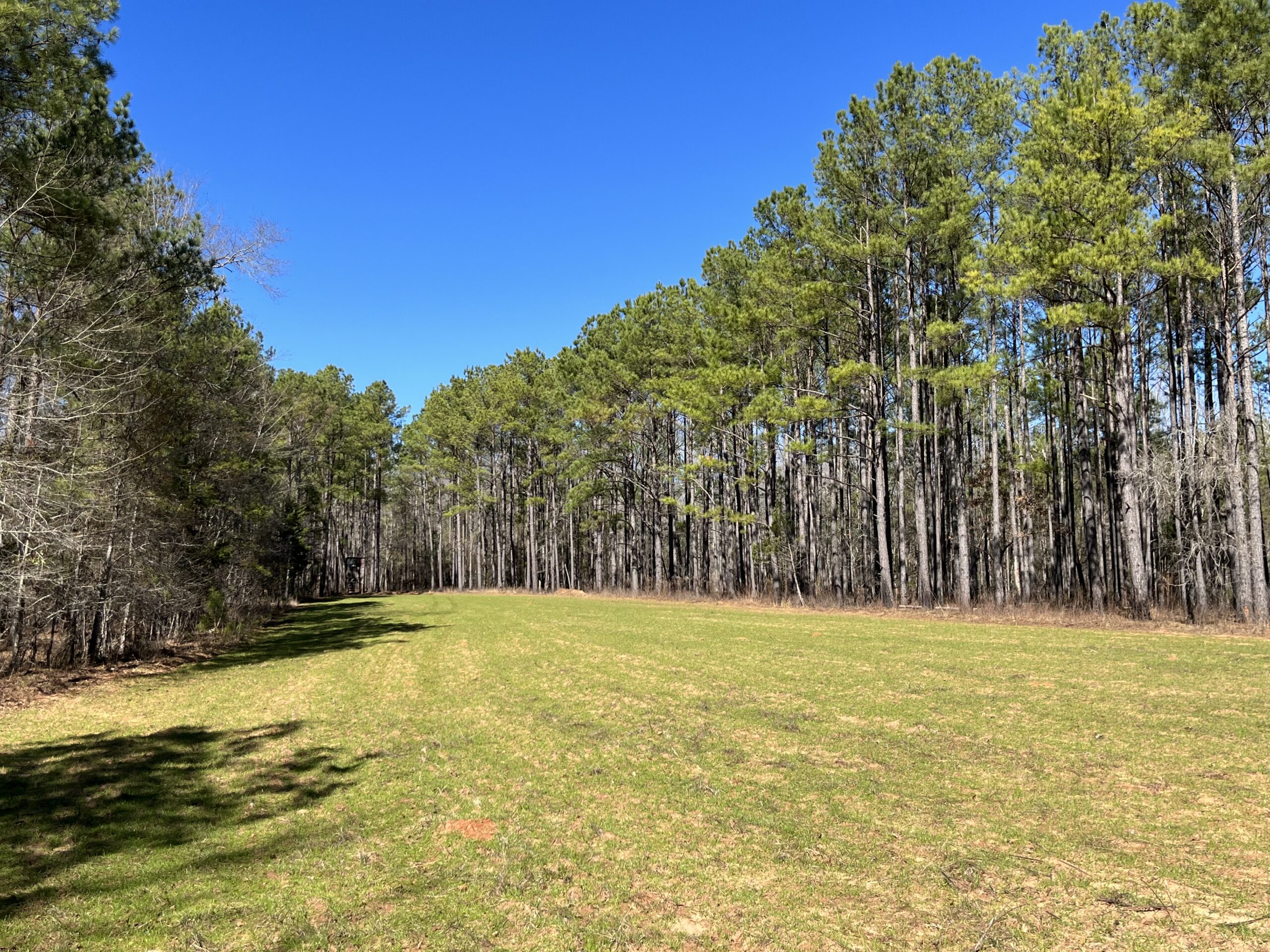 Clay Hills Farm Southern Rivers Properties