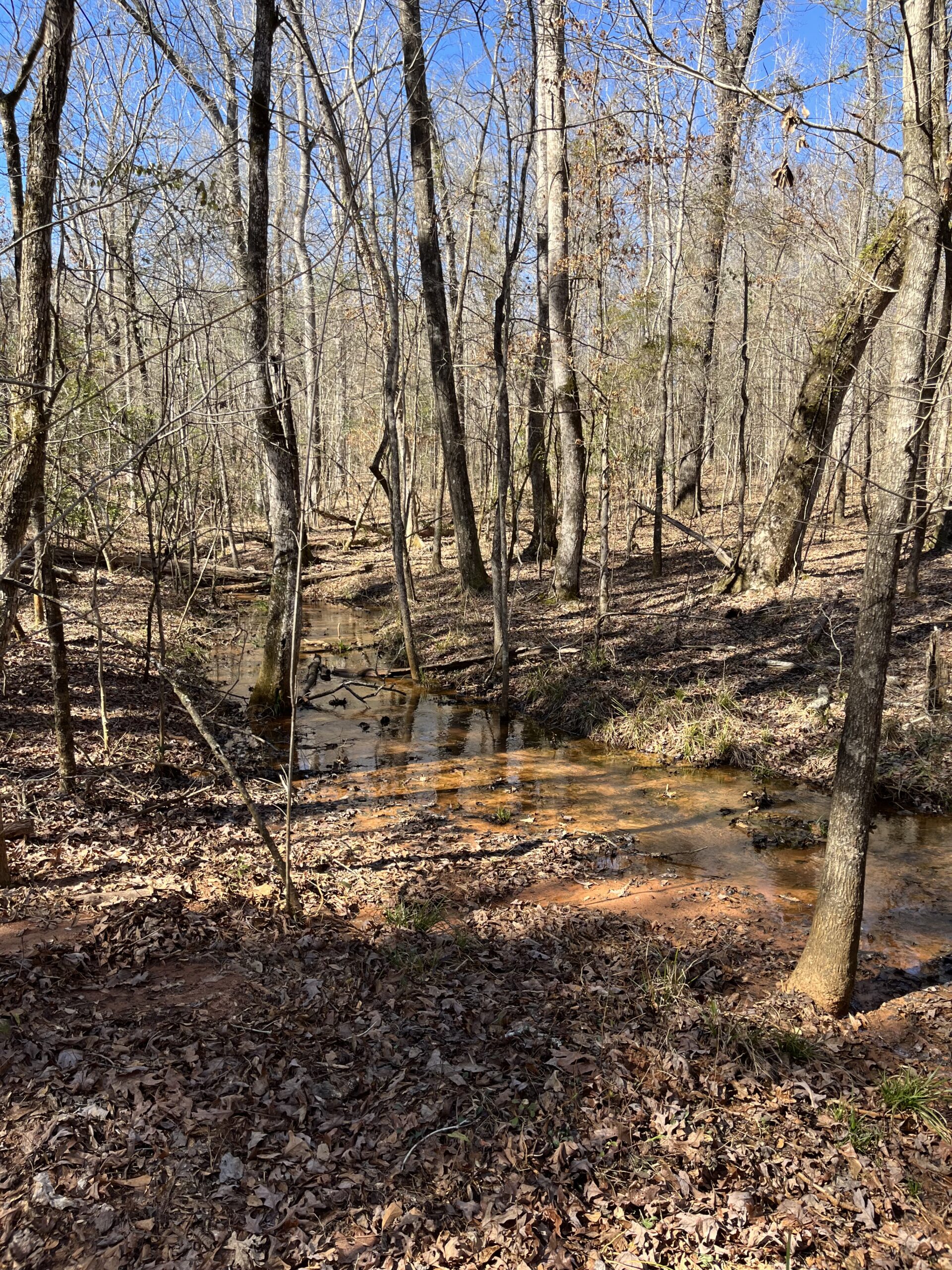 Clay Hills Farm Southern Rivers Properties