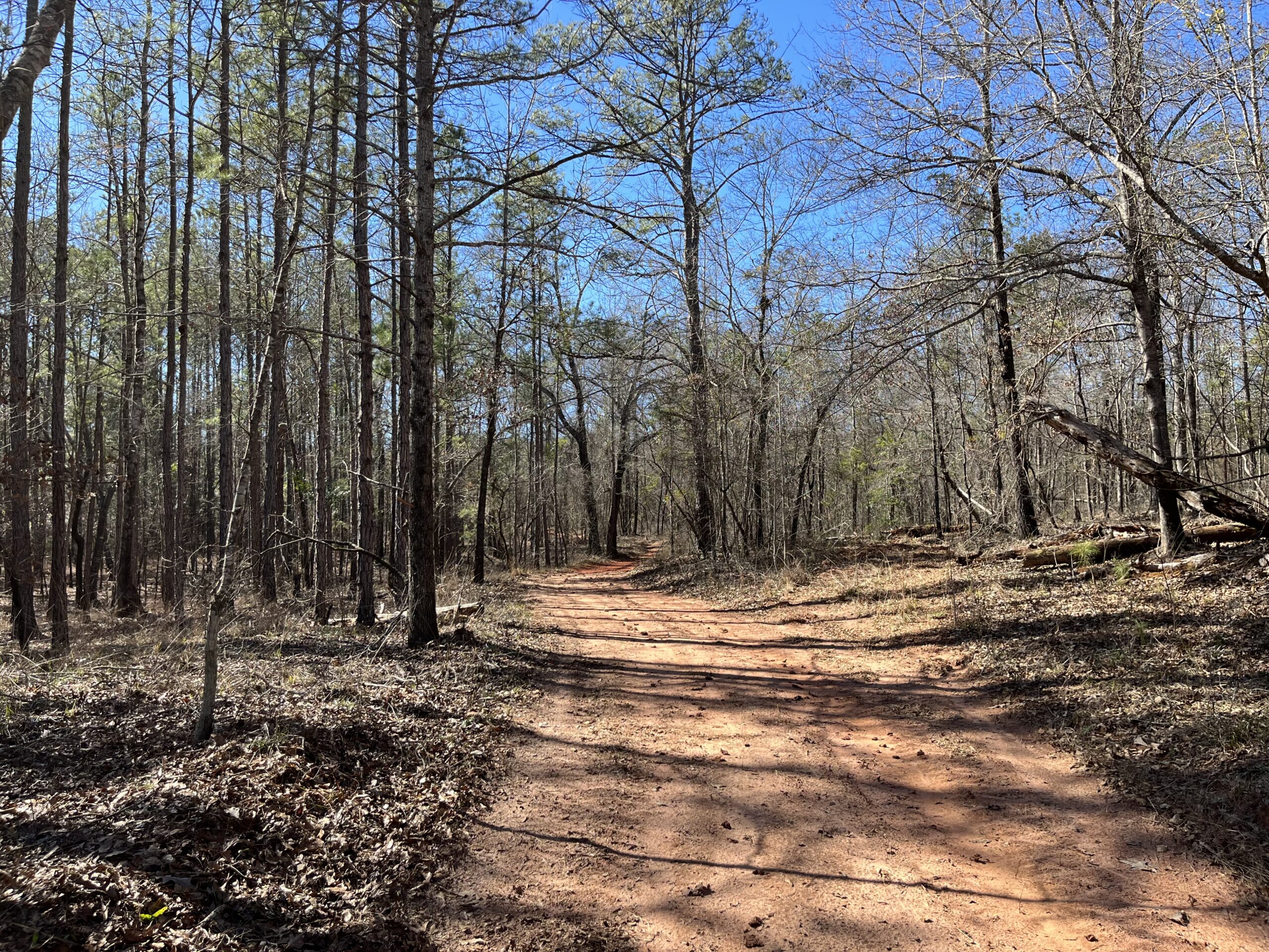 Clay Hills Farm Southern Rivers Properties