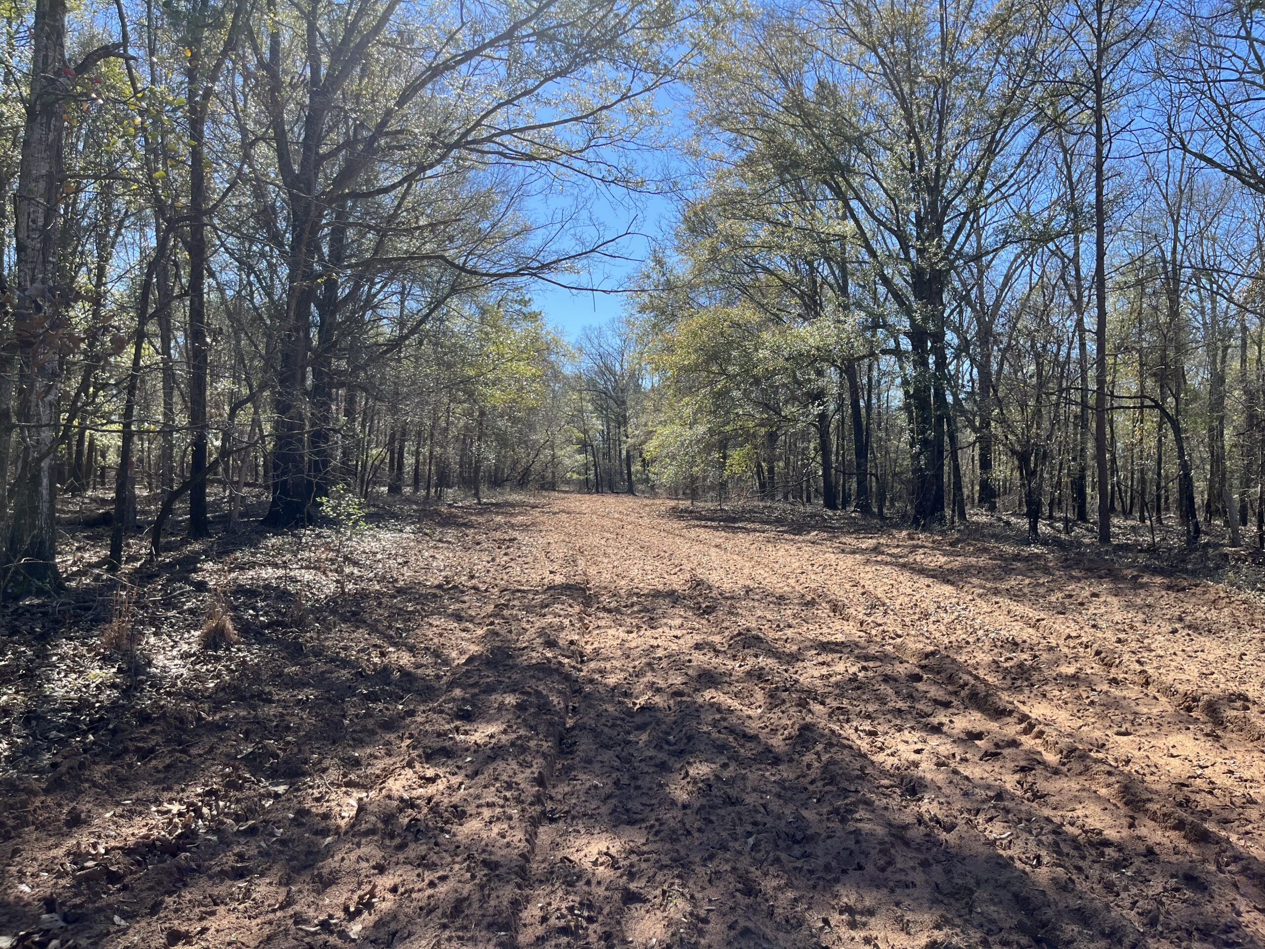 Clay Hills Farm Southern Rivers Properties