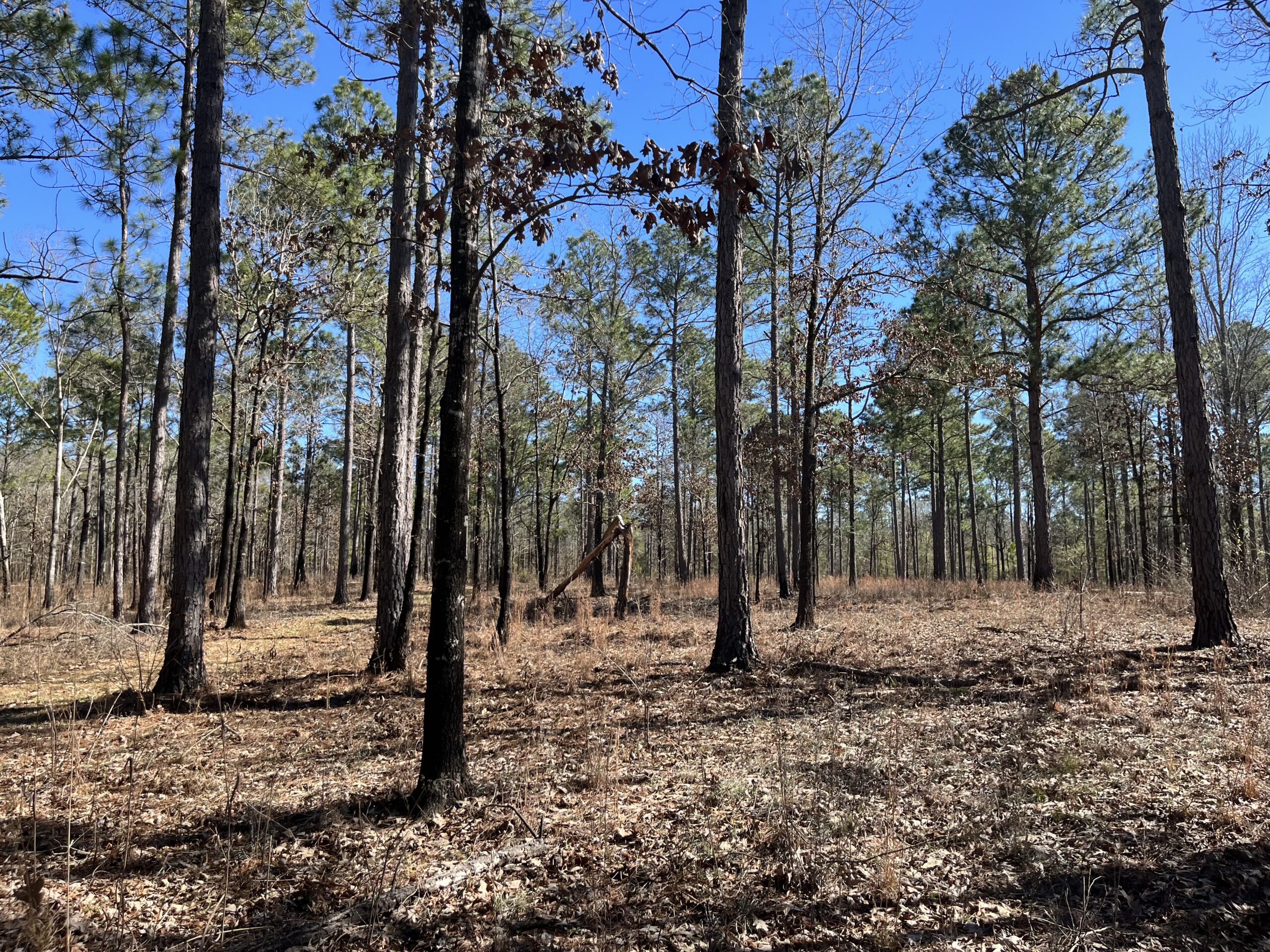 Clay Hills Farm Southern Rivers Properties