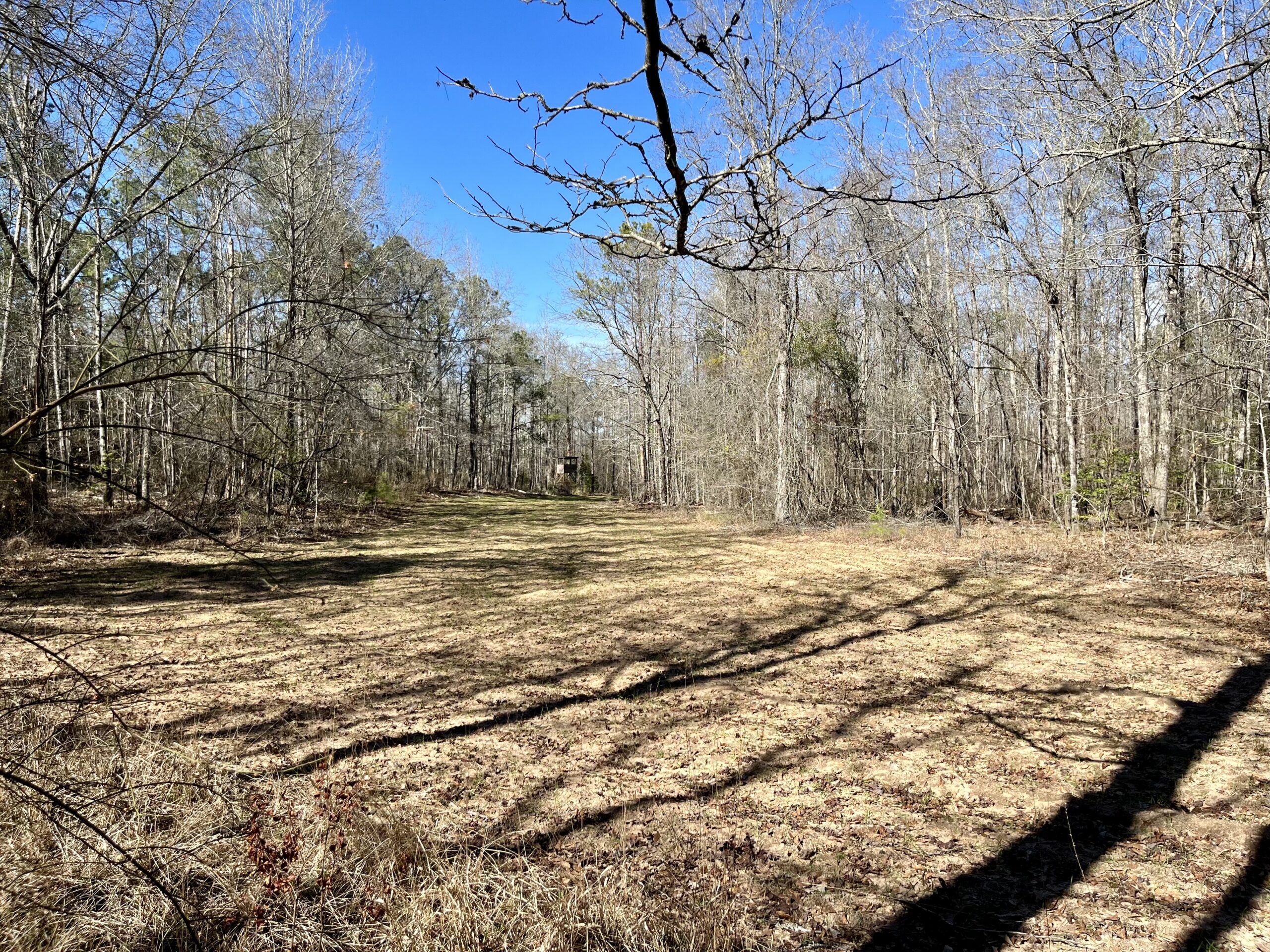 Clay Hills Farm Southern Rivers Properties