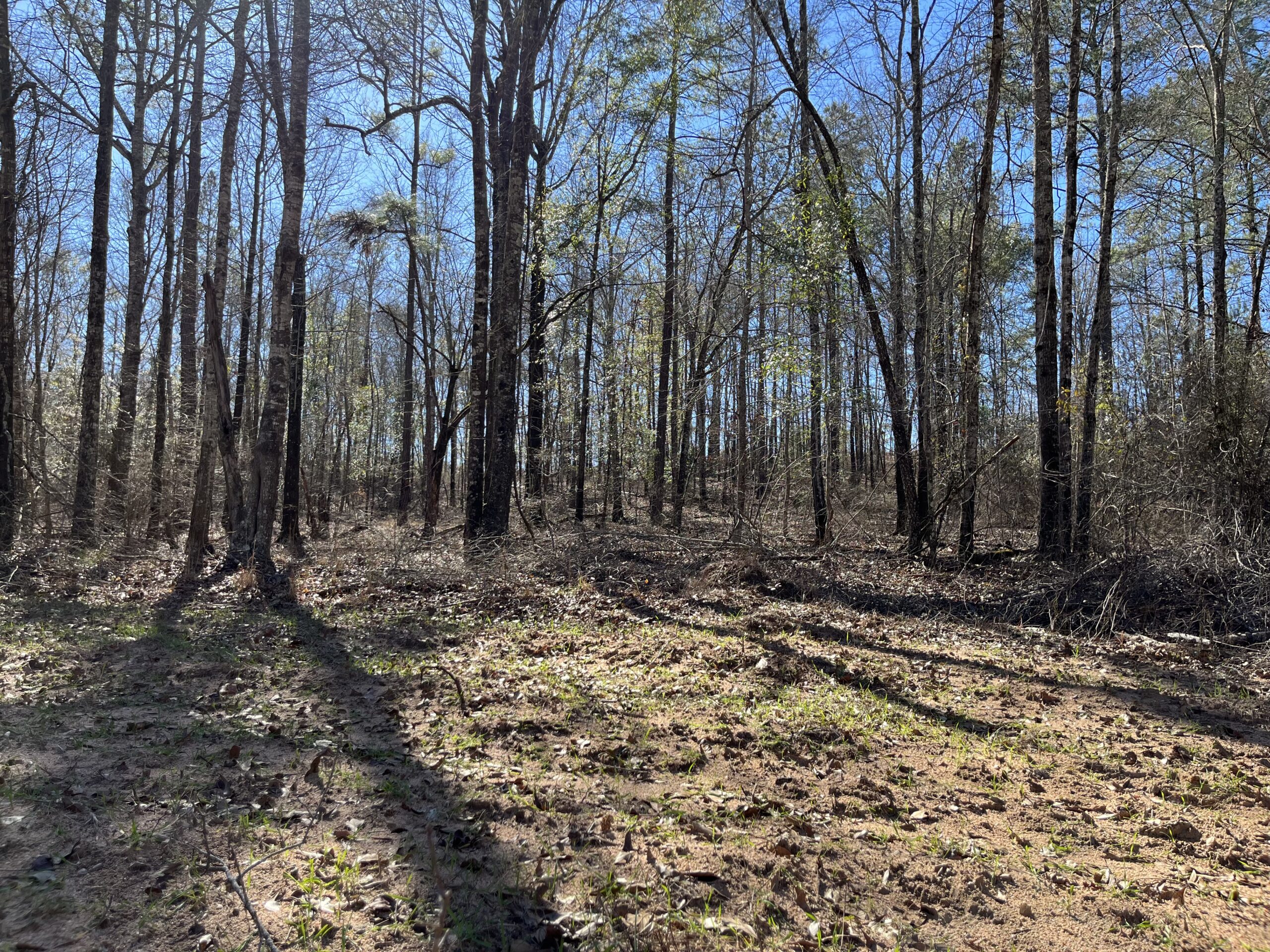 Clay Hills Farm Southern Rivers Properties