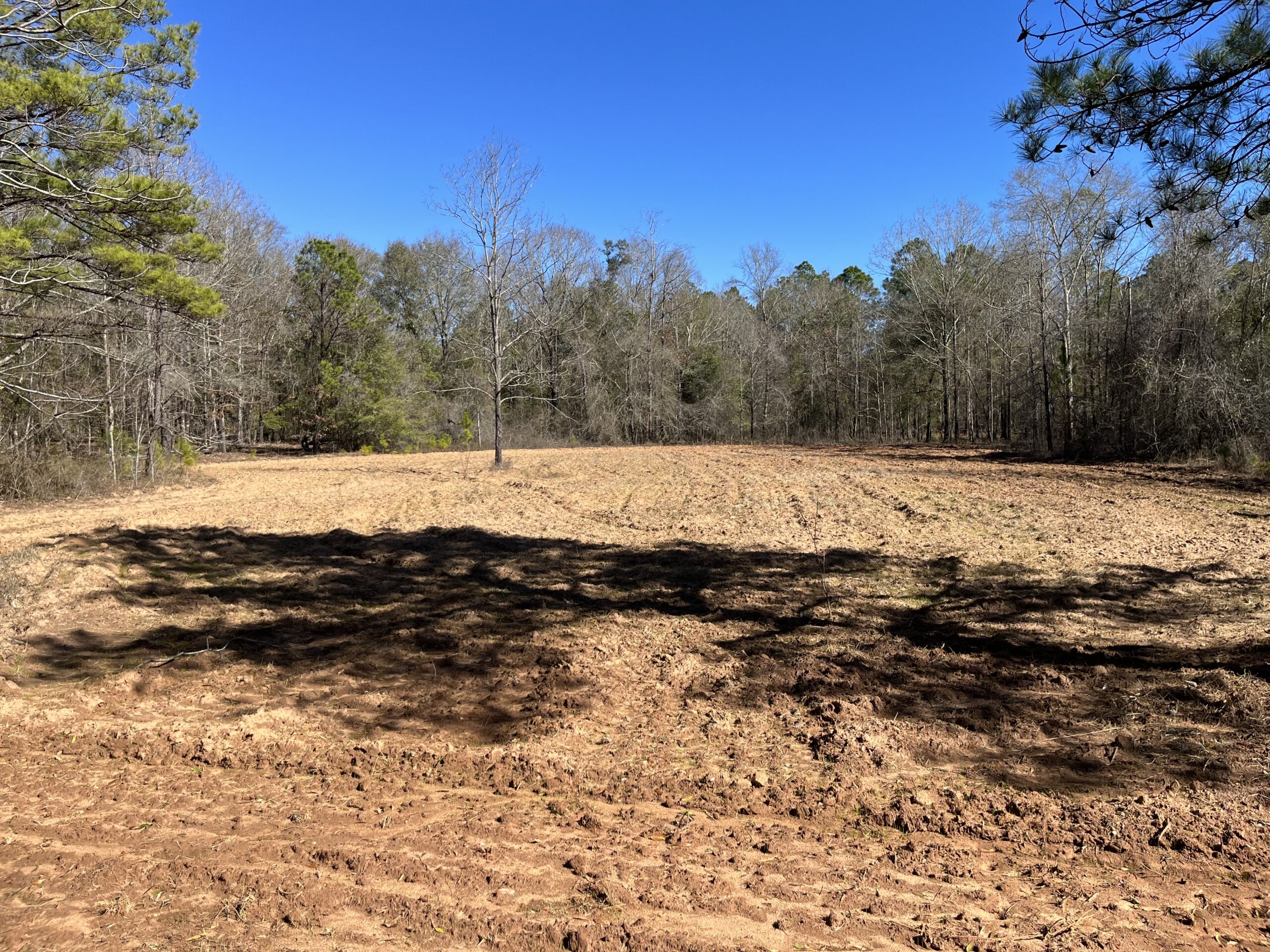 Clay Hills Farm Southern Rivers Properties