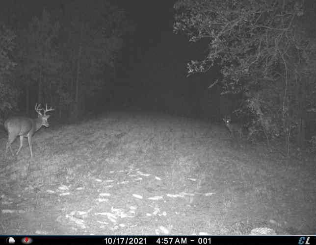 ster CB Hunting Property Southern Rivers Properties