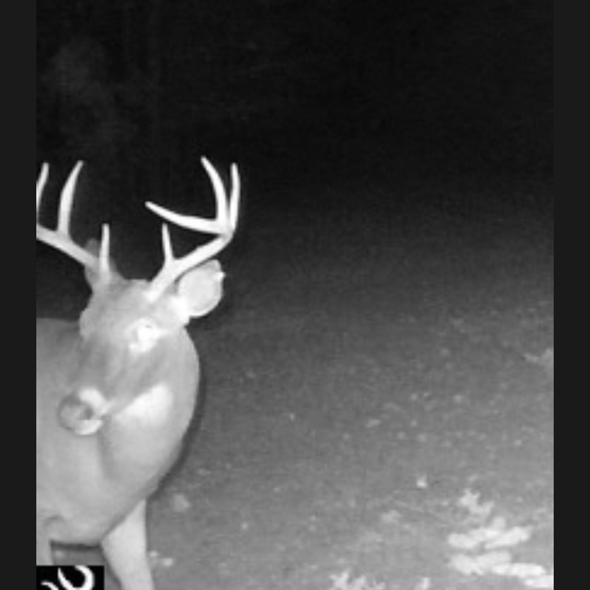 ster CB Hunting Property Southern Rivers Properties