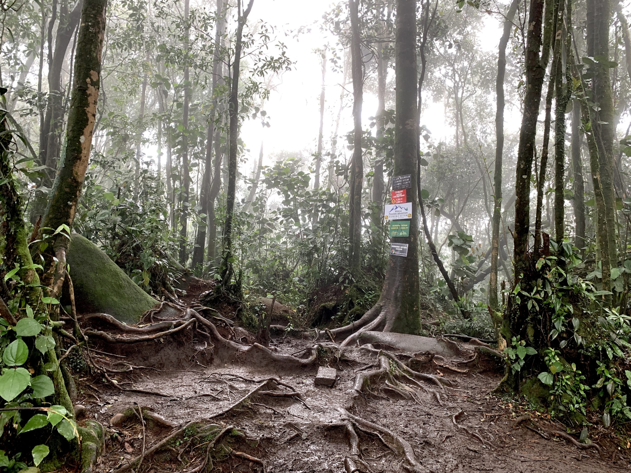 Gunung Hitam Hulu Langat - Afiq Halid 1920_X_2560_jpg