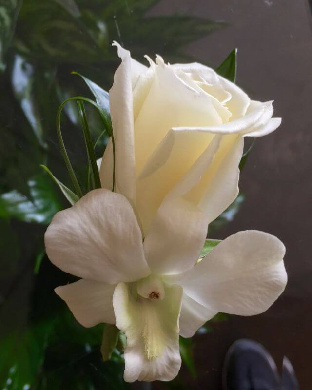 Contact A Floral Experience Flower Shops Dallas, TX