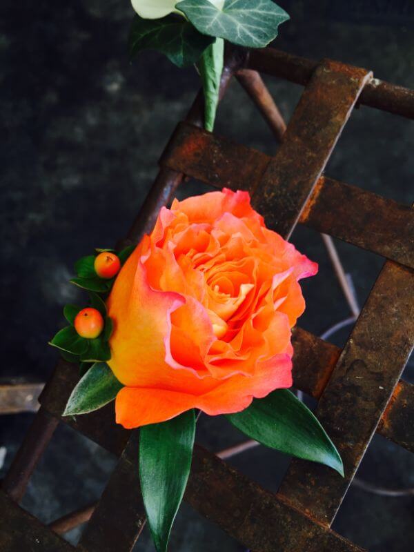 Contact A Floral Experience Flower Shops Dallas, TX