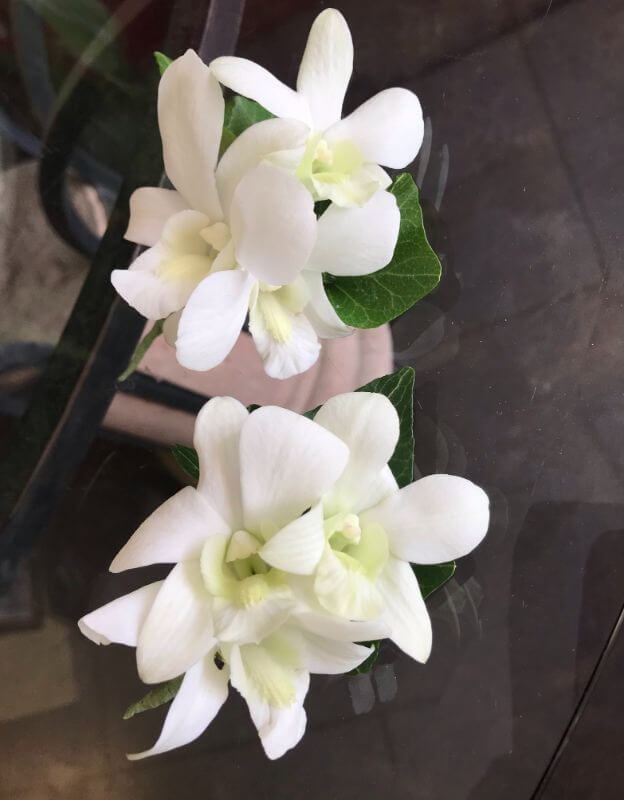 Gallery A Floral Experience Flower Shops Dallas, TX