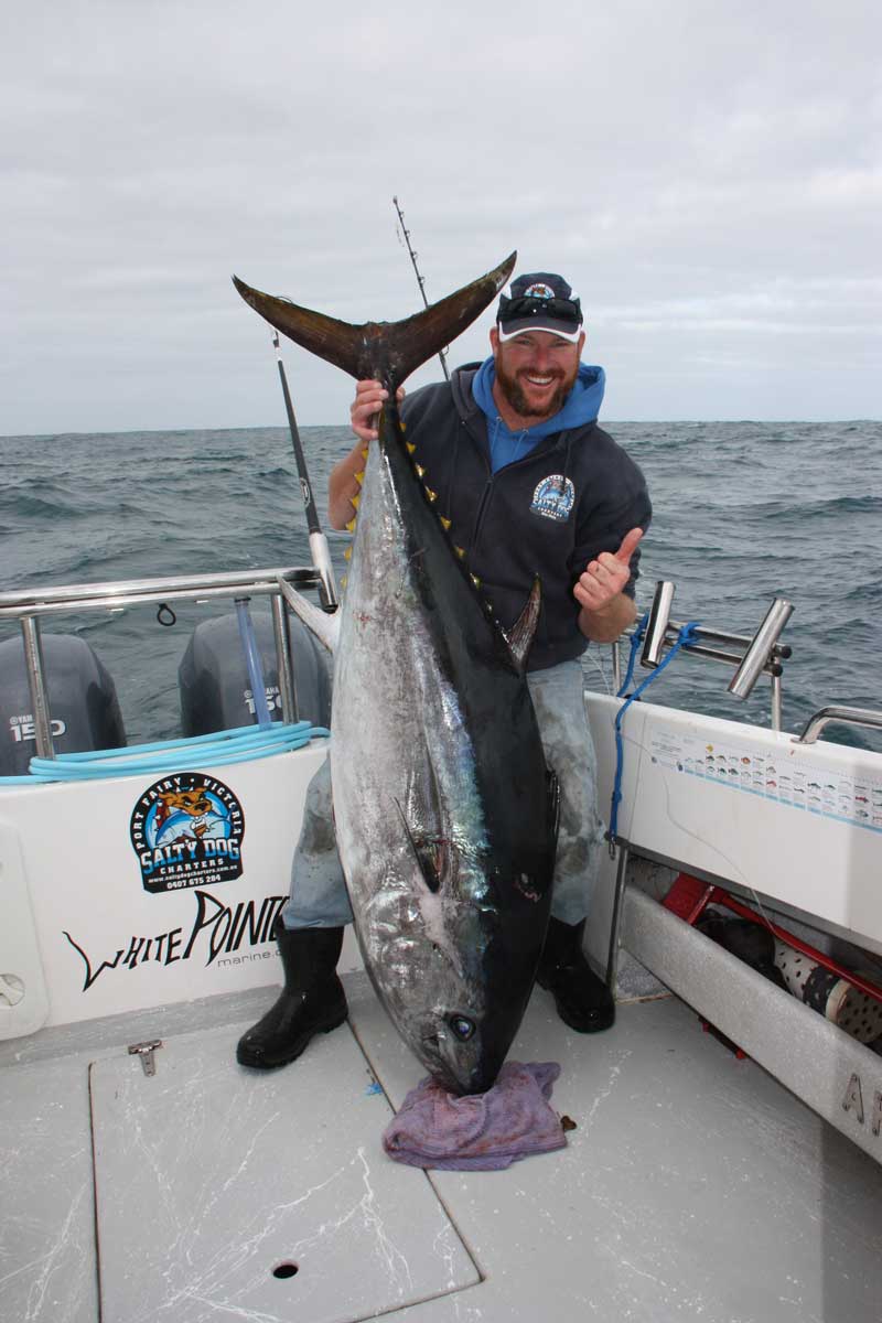 Victoria's Southern Bluefin Tuna Fishery on the rise AFN Fishing