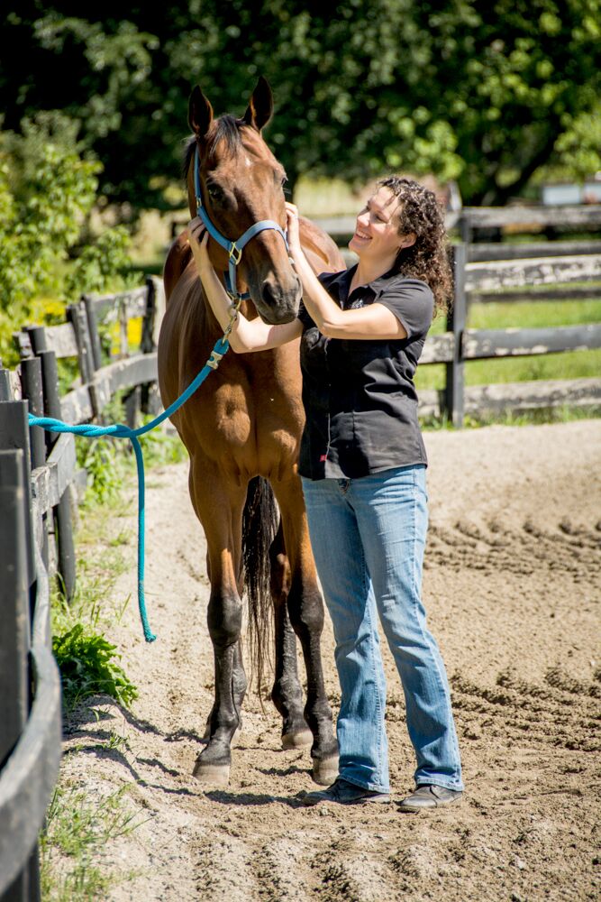 Chicago CranioSacral Therapy A Focused Touch Rebecca DeCoster