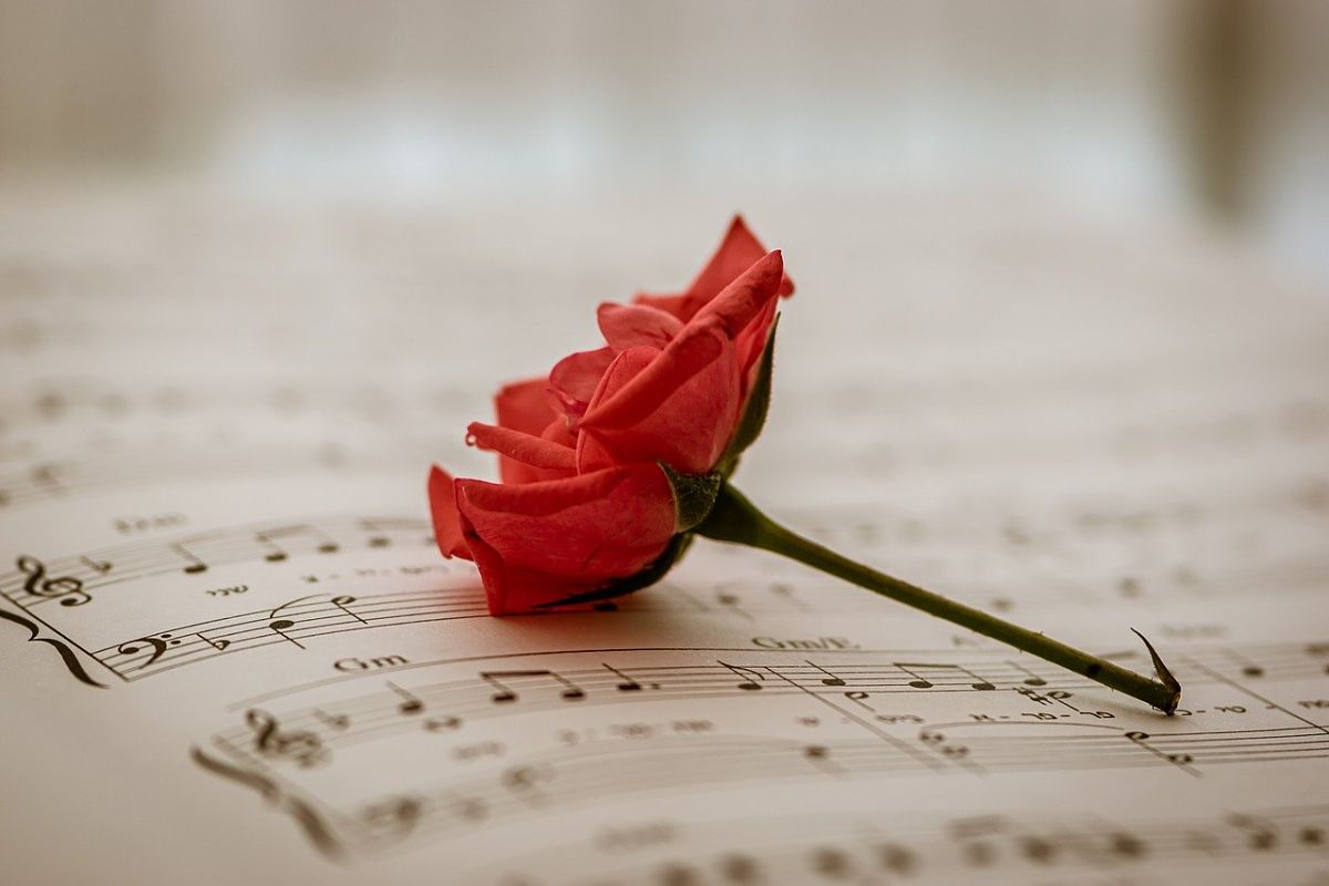 50 frasi per dire Ti amo in tutte le lingue (con traduzione in italiano
