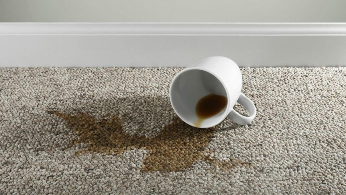 remove tea stains from carpet Afrand Carpet online store