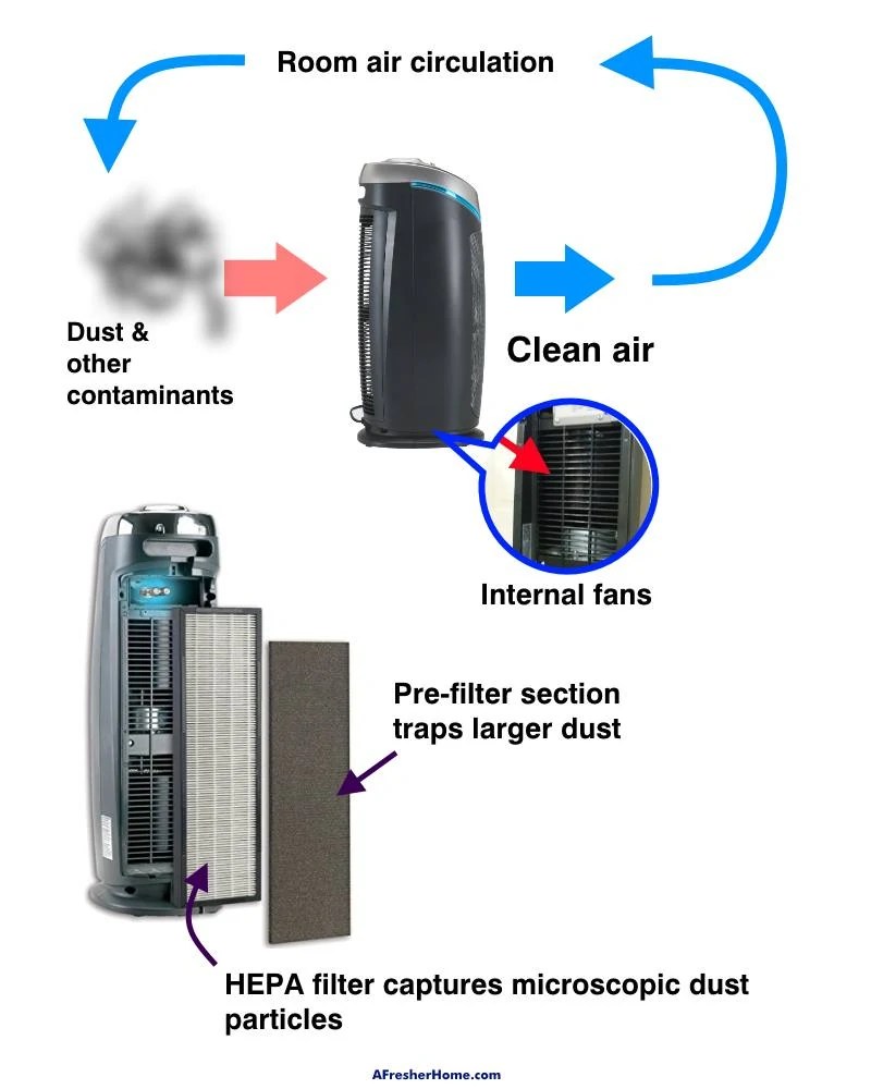 Do Air Purifiers Reduce Dust? A Comprehensive Guide