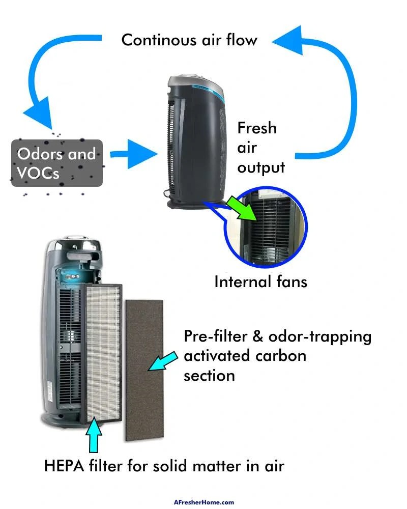 Does An Air Purifier Remove Smells? Dealing With Common Odor Problems