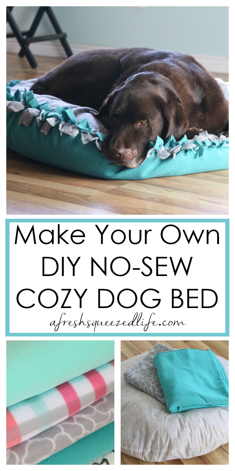 stuff your own dog bed
