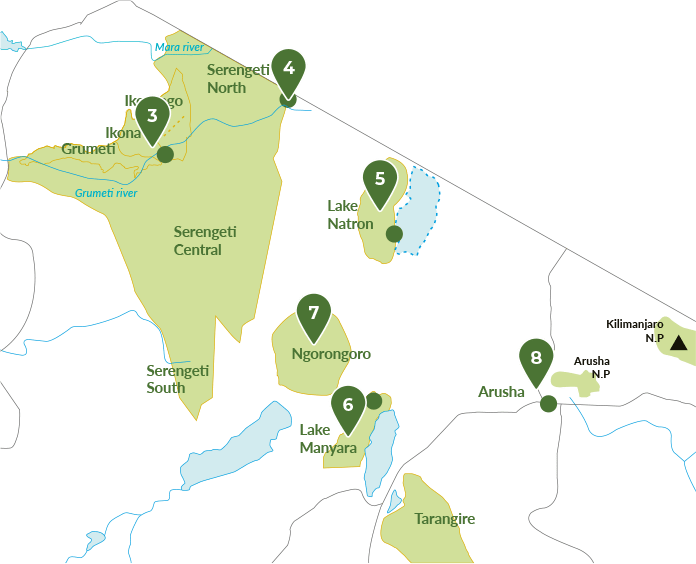 Book Your Safari Trip The Great Wildebeest Migration Africa Safari