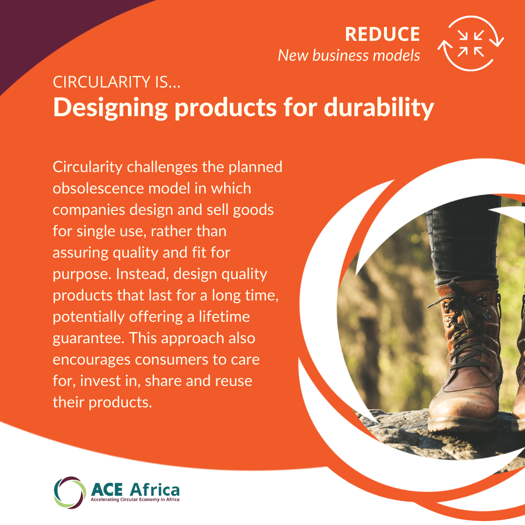 ACE Africa ICLEI Africa