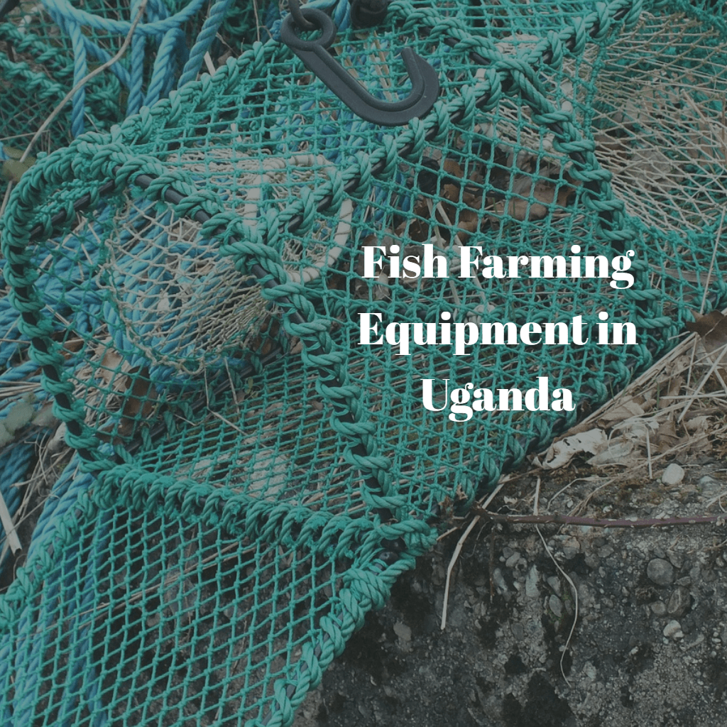 Fish Farming Equipment The Only Guide You Will Need Africa Farming