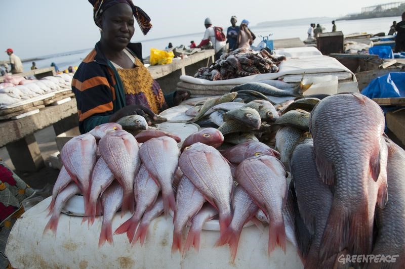 Tanzania to ban fish imports from China Africa Feeds