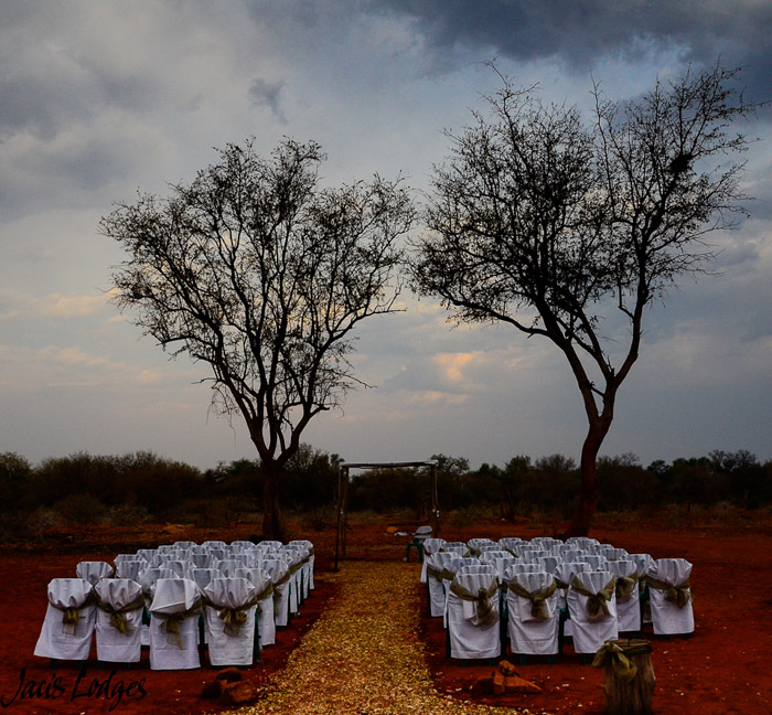 A spectacular wedding, bush style Africa Geographic