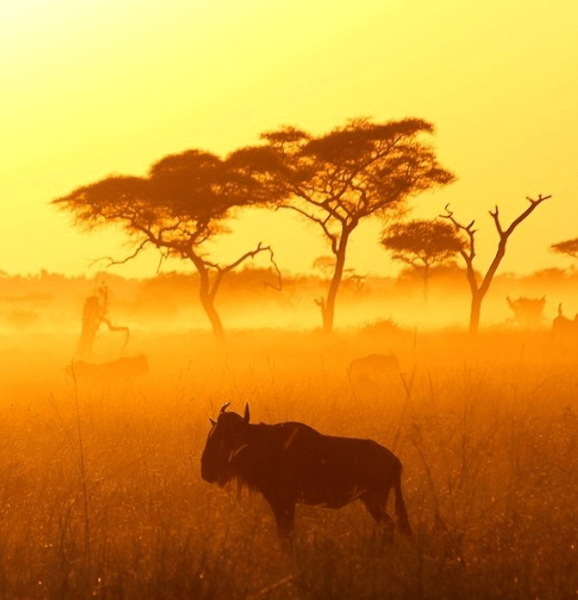 Africa Geographic Photographer of the Year, Author at Africa Geographic