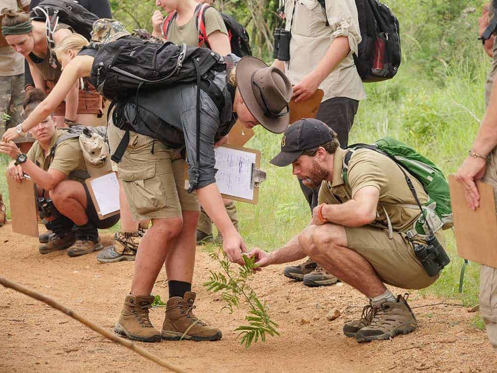 FGASA African Field Guide Level 1 Course African Conservation Foundation