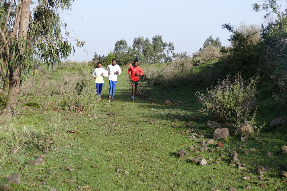 Our High Altitude Training Camps Africa Running Tours