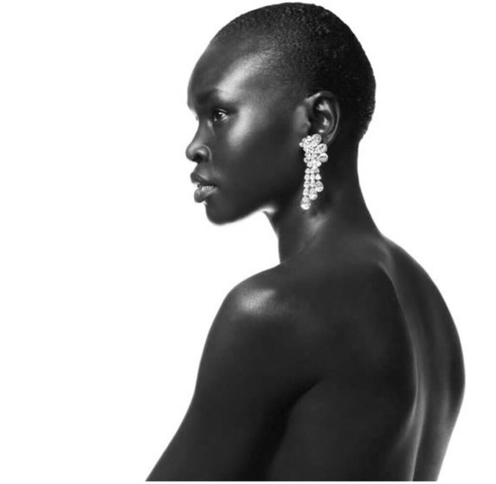 Top 10 list of the most famous African Supermodels ANSM