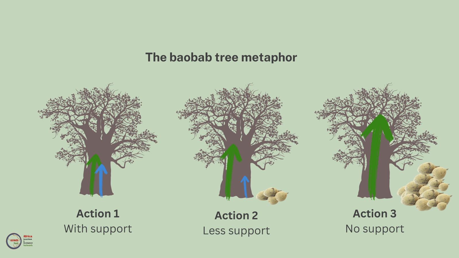 The baobab tree metaphor of action research Africa Social Work & Development Network Mtandao waKazi zaJamii naMaendeleo waAfrika The baobab tree metaphor of action research Africa Social Work & Development Network Mtandao waKazi zaJamii naMaendeleo waAfrika
