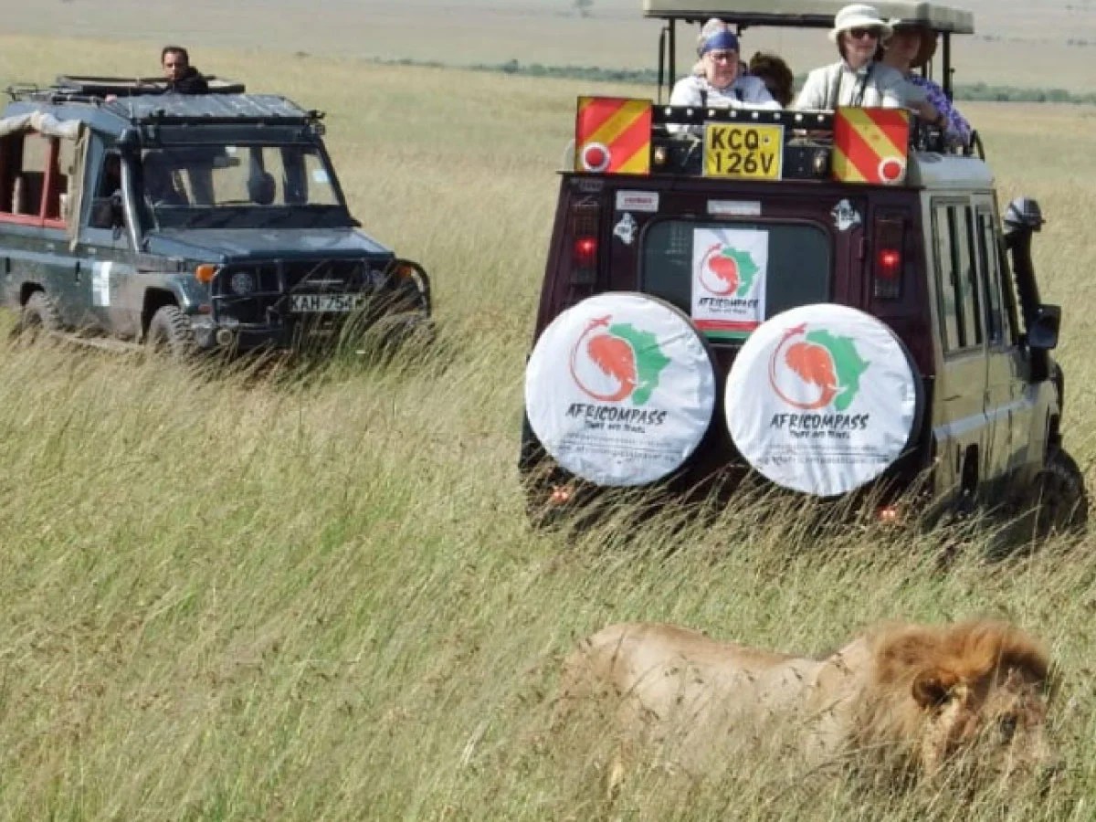 How Much Does Masai Mara Kenya Safari Cost?