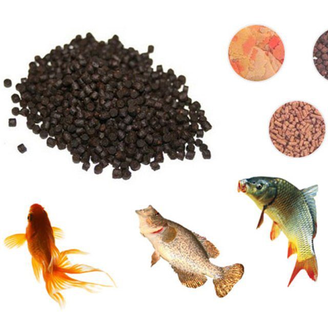 Shop Fish Feed Online In Nigeria Best Prices Guaranteed, 37Day