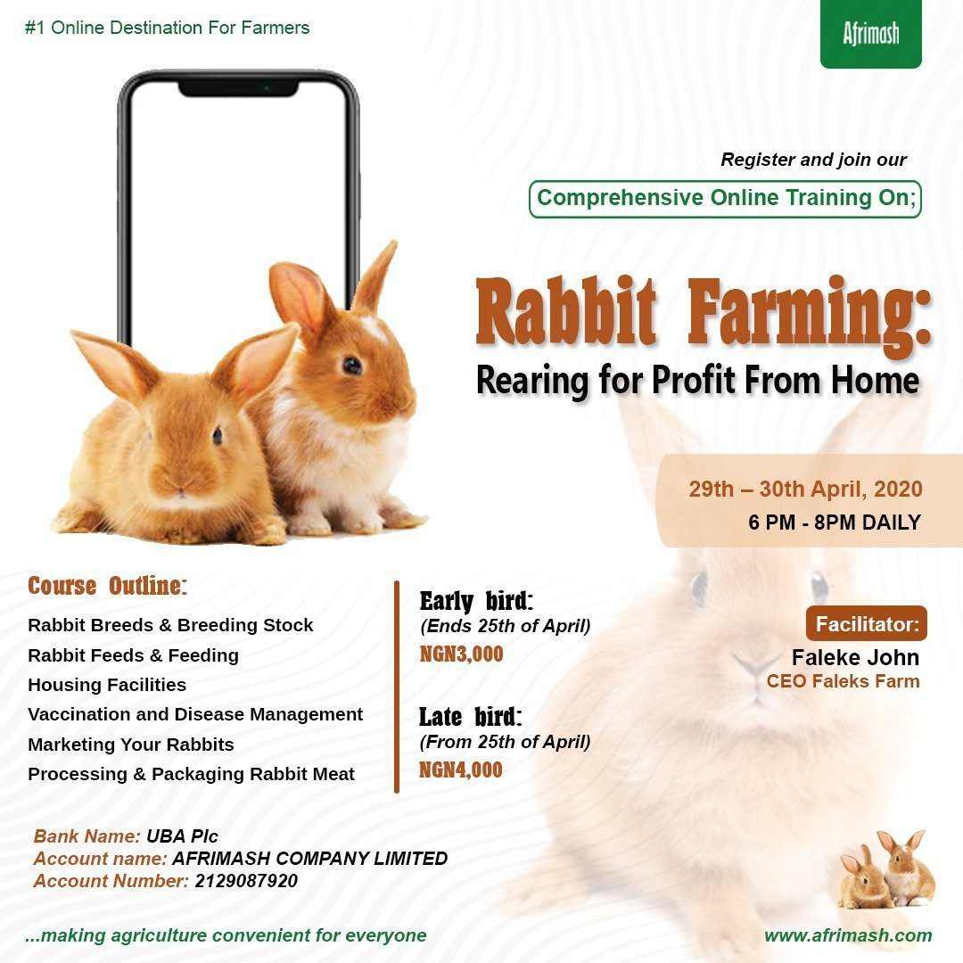 Comprehensive Online Training On Rabbit Farming (April Edition