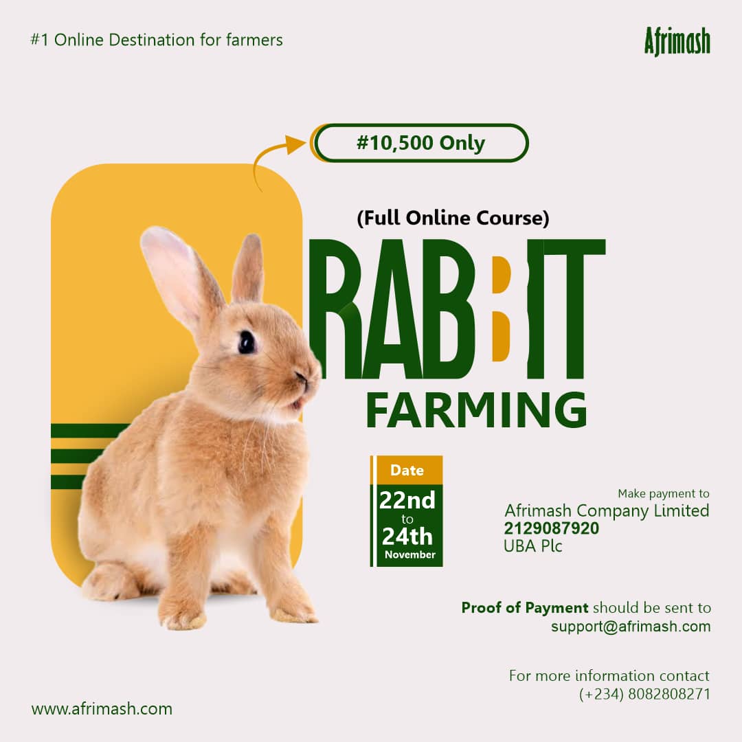 Full Online Course on Rabbit Farming Nigeria