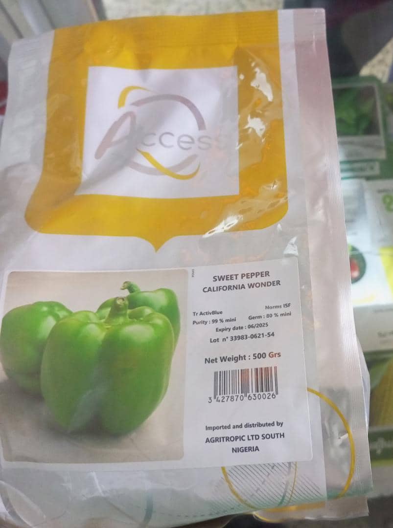 California Wonder (Sweet Pepper Seed 500g) Nigeria